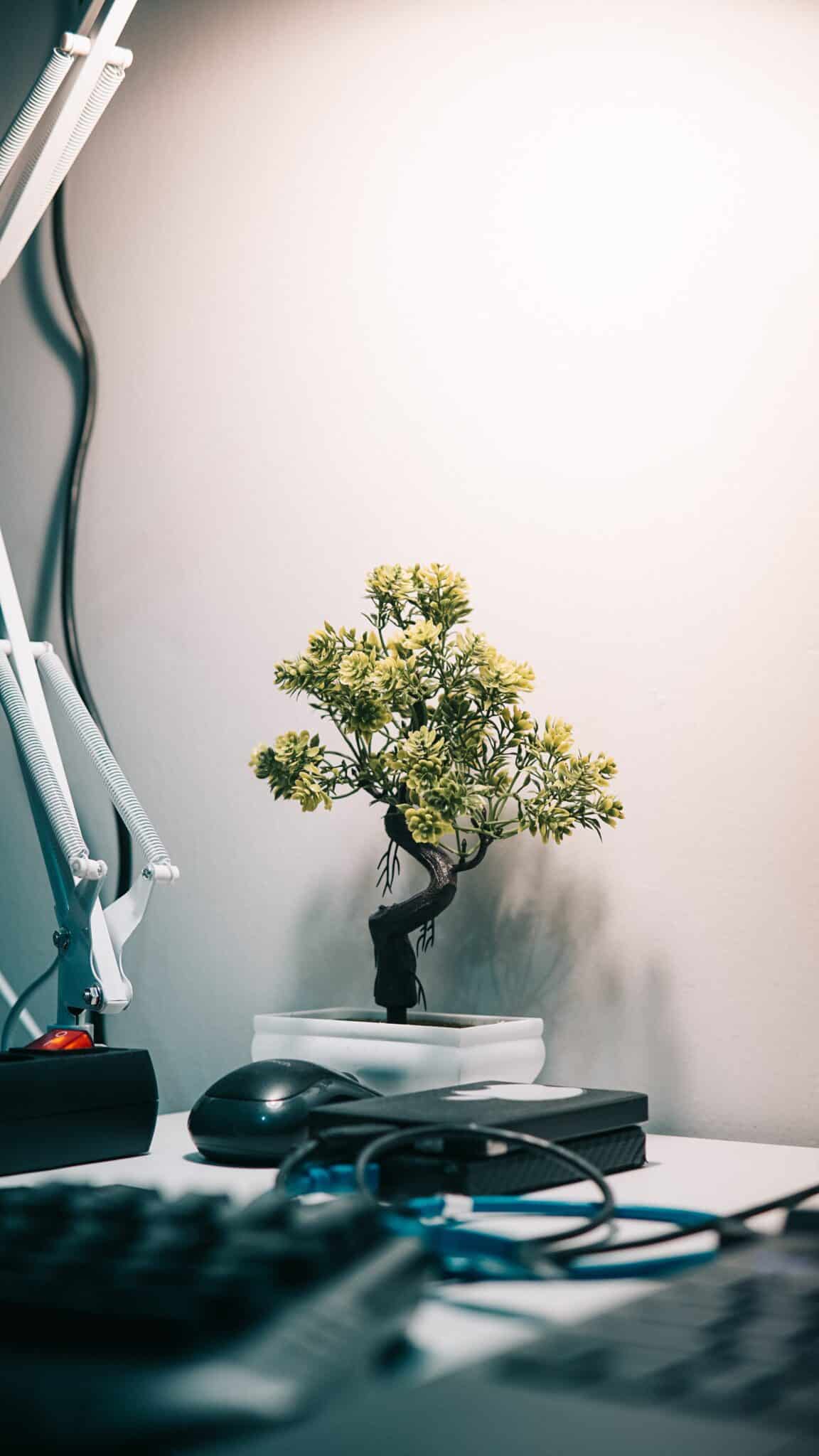 digitale