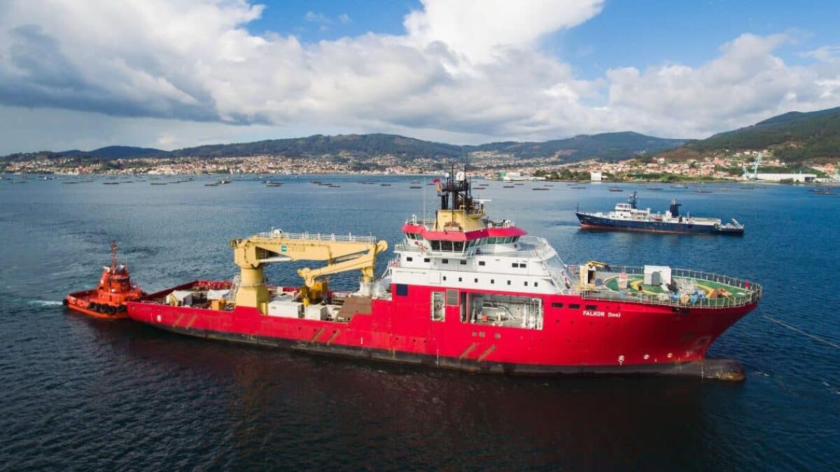 Uccelli marini e profondità oceaniche - 