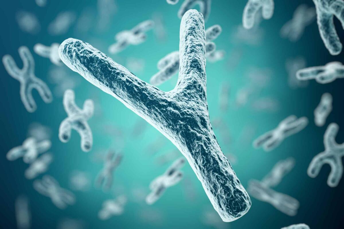 Creata la prima mappa del cromosoma Y - XY-chromosomes on background, medical symbol gene therapy or microbiology genetics research with with focus effect, 3d rendering