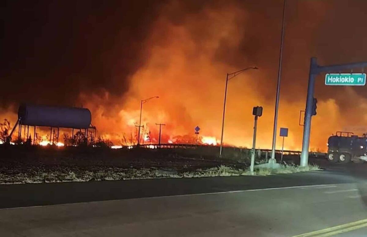 Incendi nelle Hawaii: cause e bilancio delle vittime e danni - 