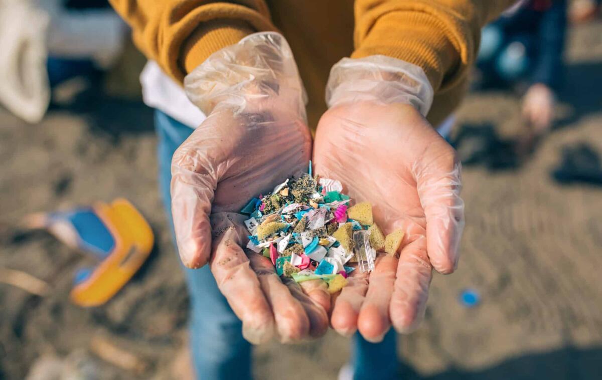Uno studio individua delle microplastiche nel cuore - Detail of hands showing microplastics on the beach