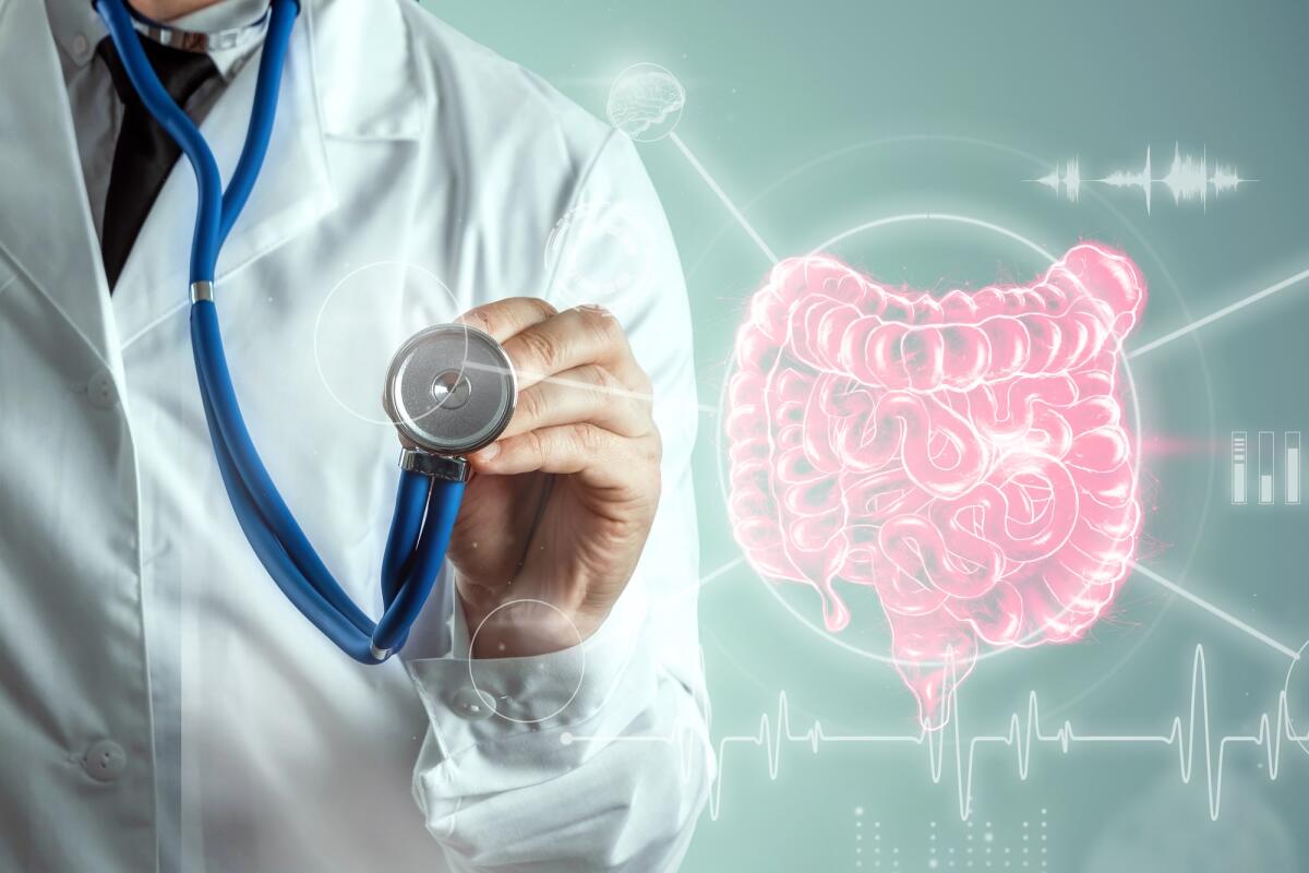 Morbo di Crohn: nuova terapia in vivo con cellule staminali - Intestino