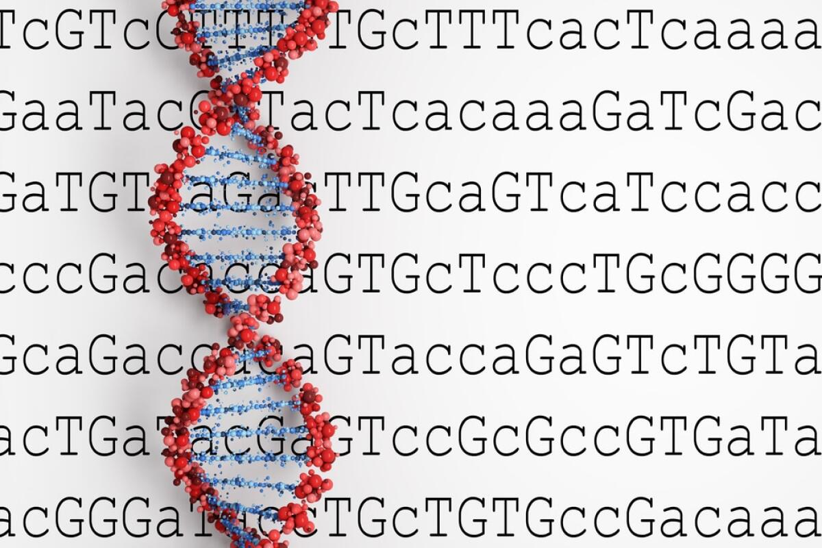 Genomica computazionale: una nuova frontiera per lo studio del DNA - DNA background