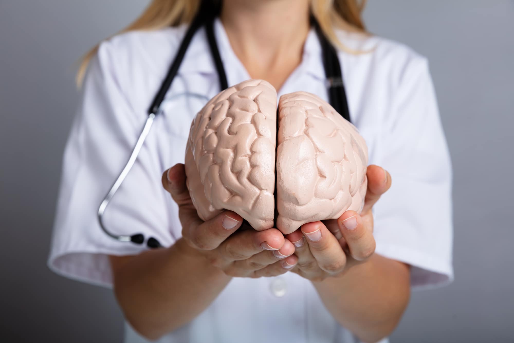 Dottore tiene modello di cervello tra le mani.