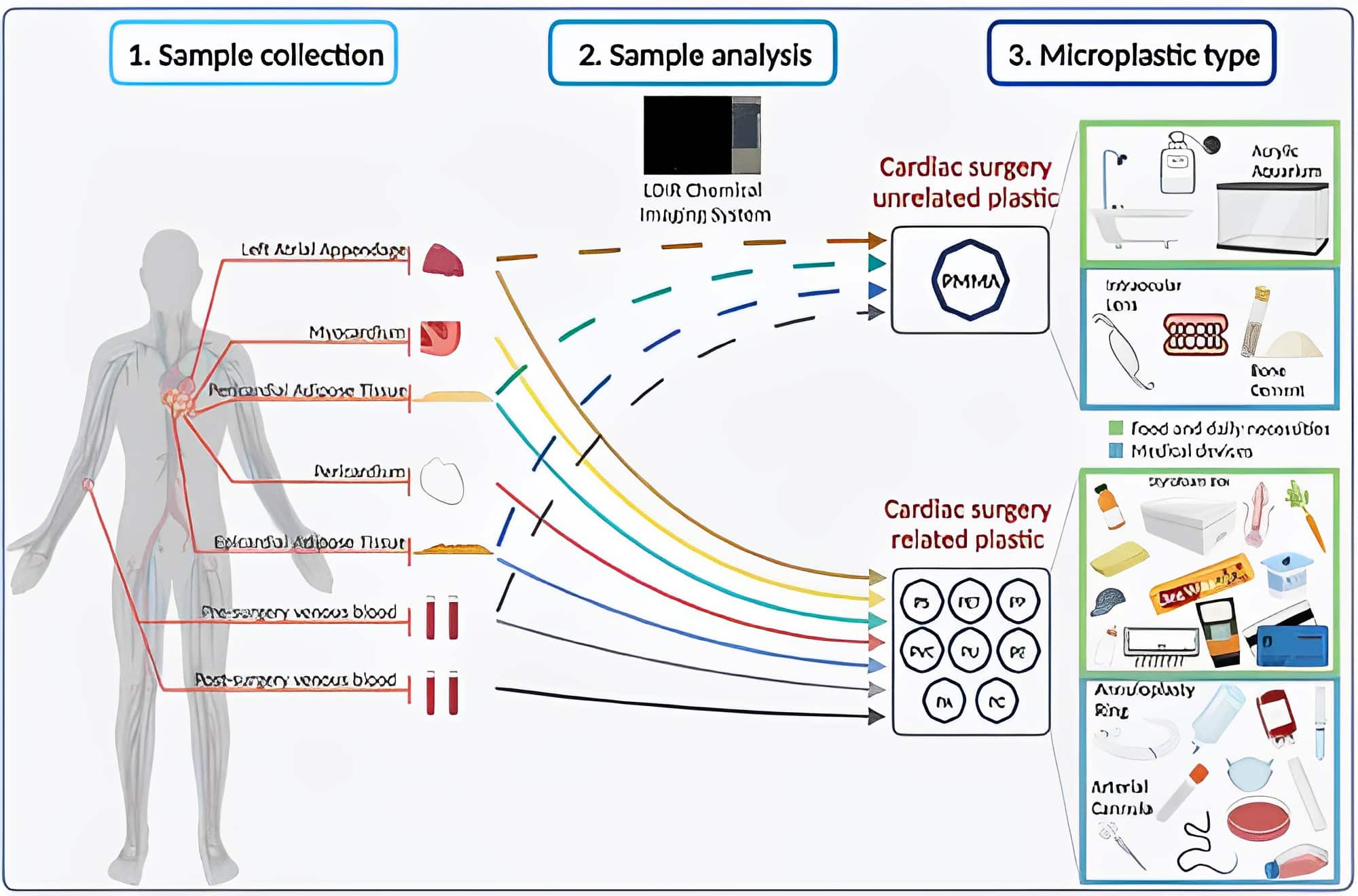 Credits- ACS Publications - "Detection of Various Microplastics in Patients Undergoing Cardiac Surgery"