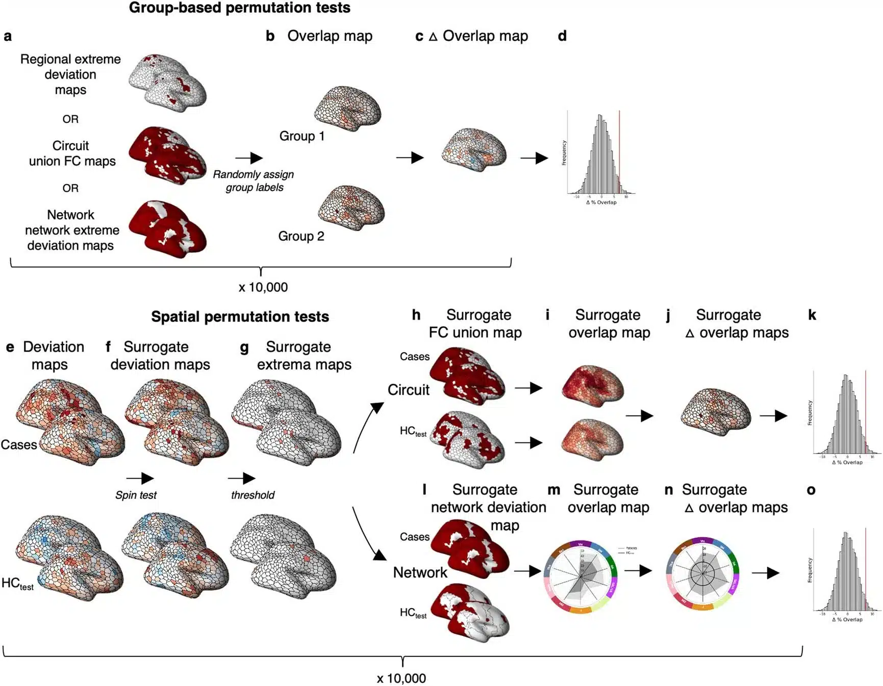 Test di permutazione per valutare la sovrapposizione a livello di regione, a livello di circuito e a livello di rete dei diversi disturbi psichiatrici - Credits: Nature Neuroscience