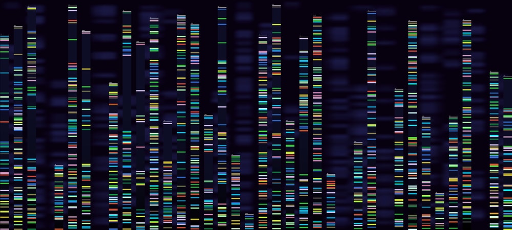 Genomica computazionale: visualizzazione di un analisi genomica