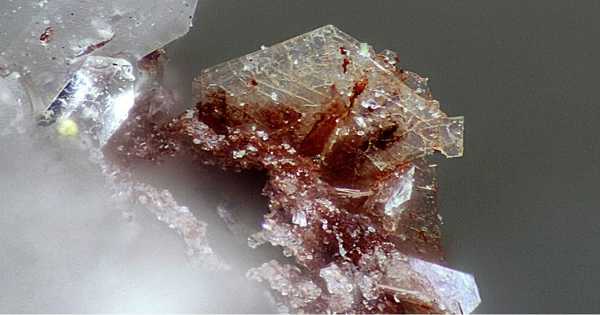 Ichnusaite