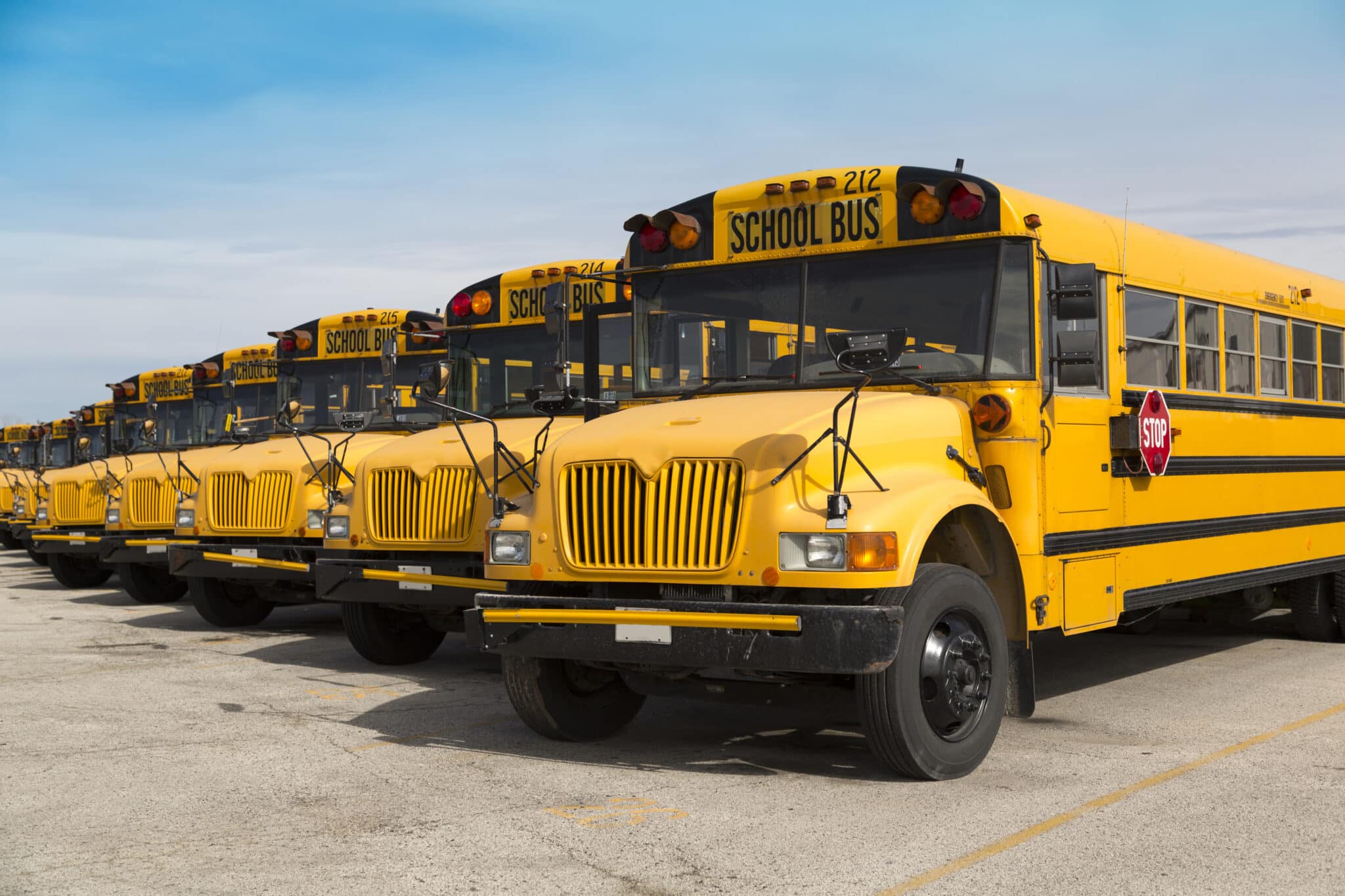 school buses in parking lot