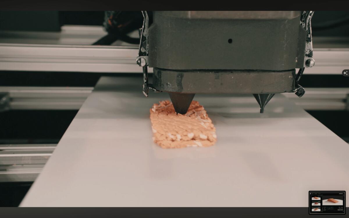 Il primo salmone vegano stampato in 3D arriverà nei supermercati italiani - 