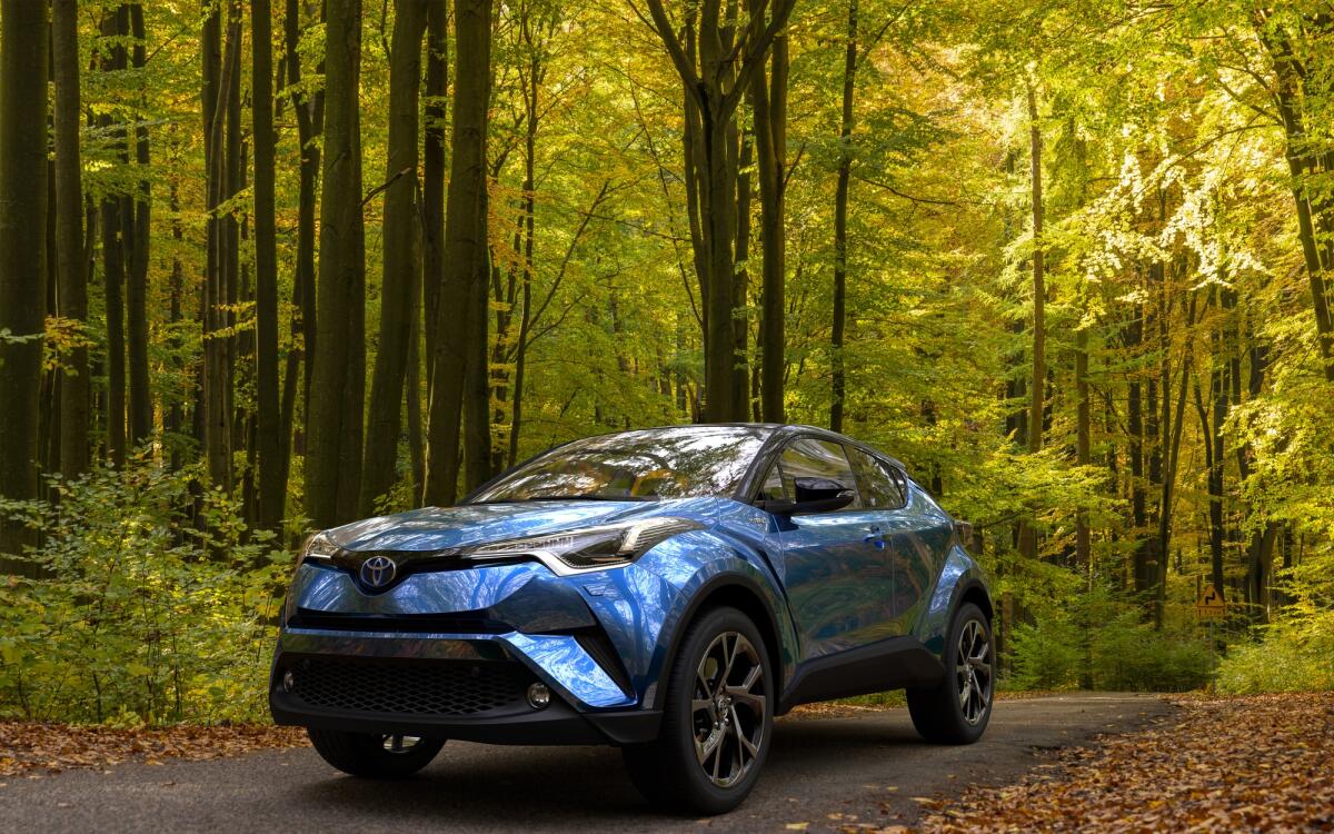 SUV ibrido Toyota C-HR: un passo avanti nella guida sostenibile - hybrid Toyota C-HR crossover SUV on a road leading through the autumn forest