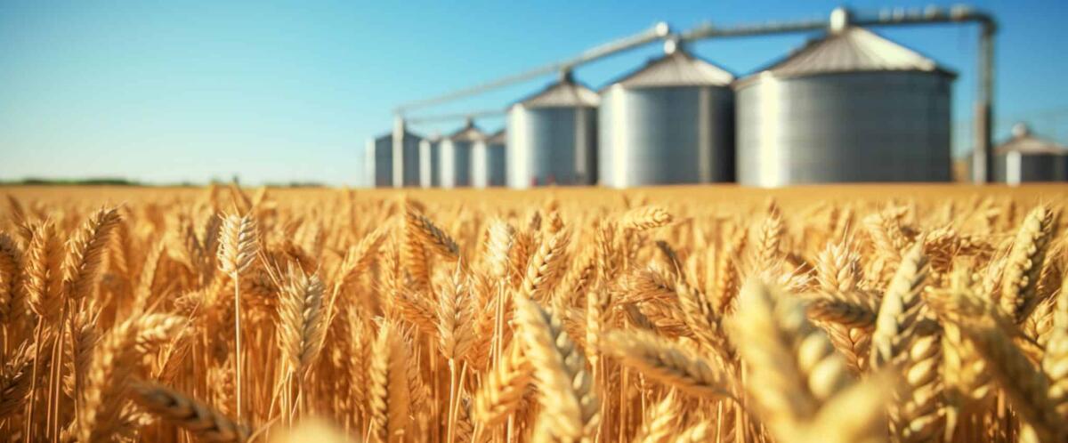 Co.Mark: l’export agroalimentare italiano sfiora i 32 miliardi di euro - 