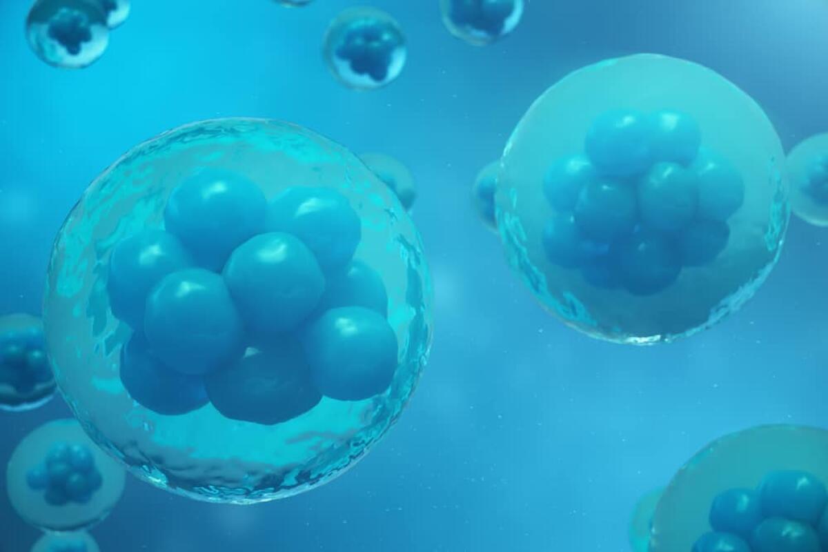 FRET: come trovare la distanza tra due molecole - 3D Rendering human or animal cells on blue background. Concept Early stage embryo Medicine scientific concept, Stem cell research and treatment