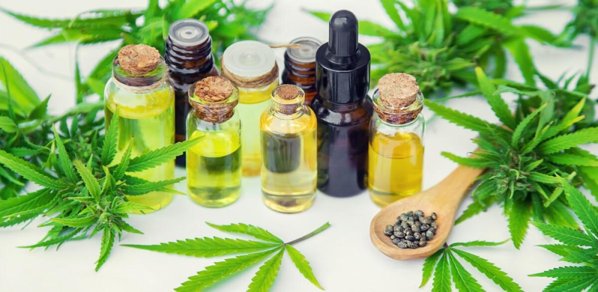 La cannabis light (CBD) diventa illegale: si potrà vendere solo in farmacia - Cannabis oil in a small bottle. Selective focus. nature.
