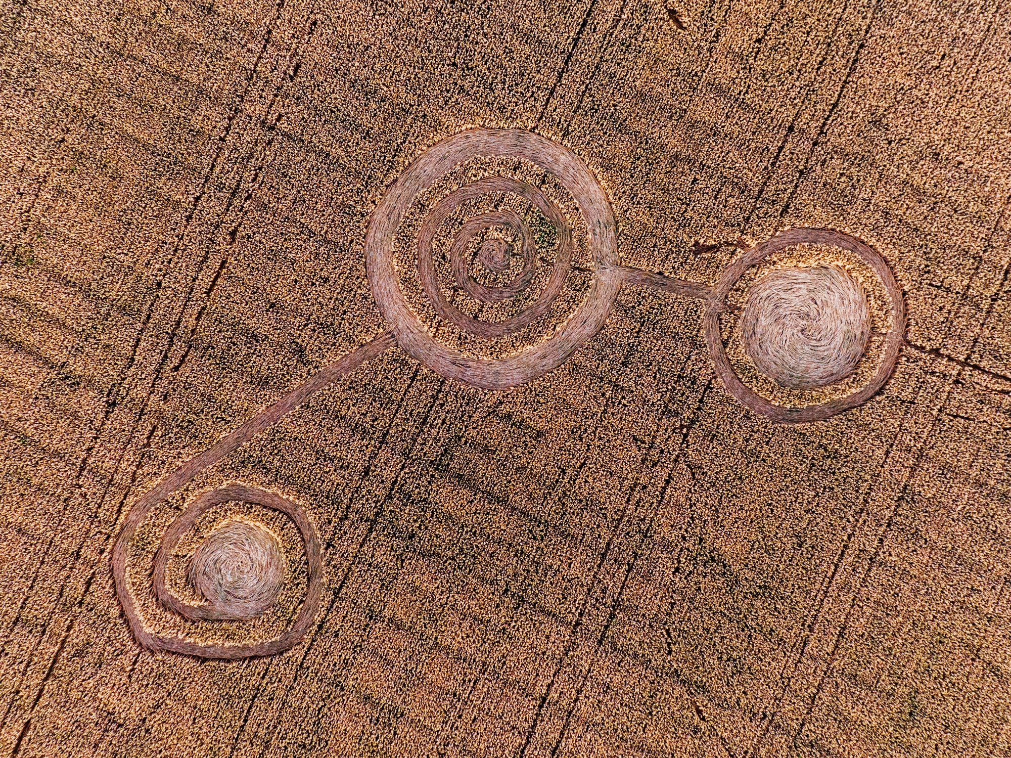 cerchi nel grano