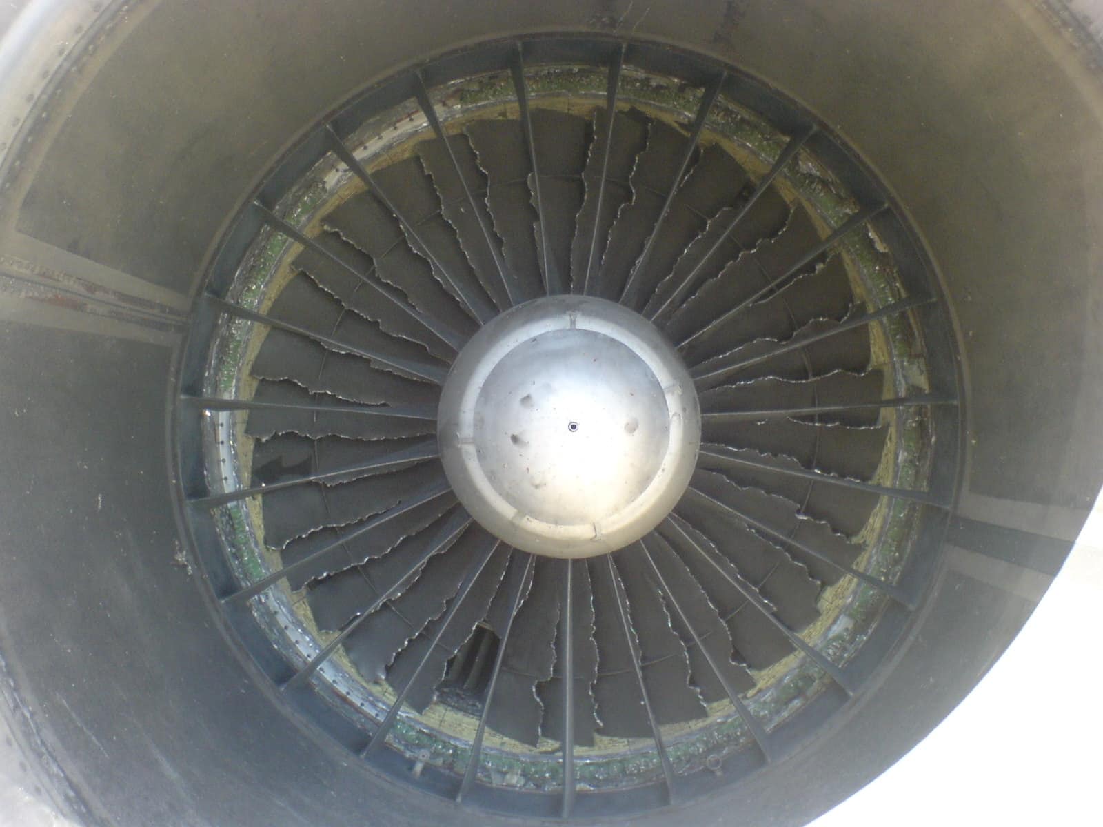 Presa d'aria di una turbina di aereo dopo l'inghiottimento di un volatile. Credits: I, Plenumchamber, CC BY-SA 3.0,