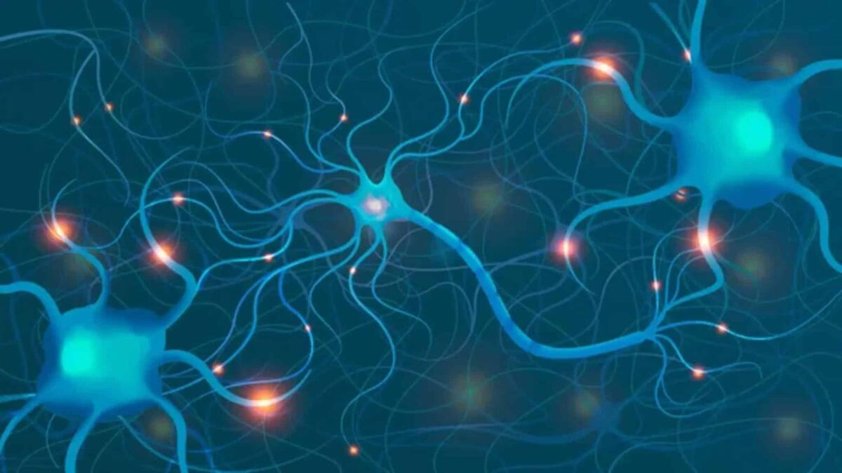 Neuroscienze: quali sono le ultime scoperte sul funzionamento del cervello umano? - 