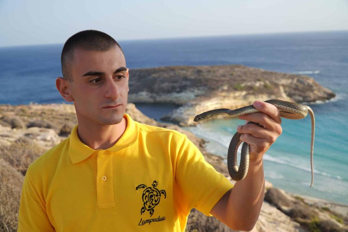 Sebastian Colnaghi alla ricerca di due serpenti a Lampedusa - 