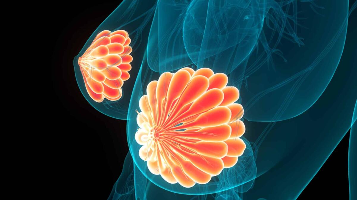 Carcinoma mammario triplo negativo: terapie emergenti - 