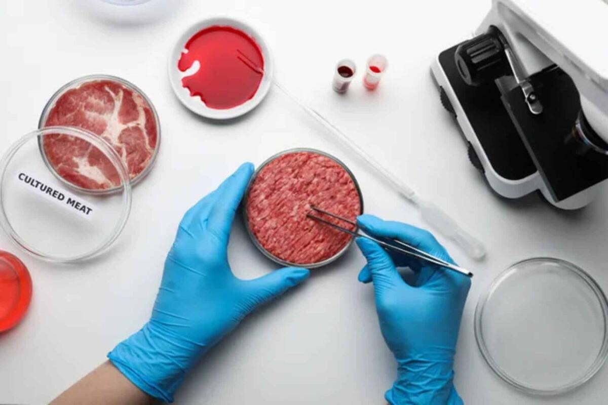 Ritirato il disegno di legge sulla carne coltivata: svolta o cautela? - 