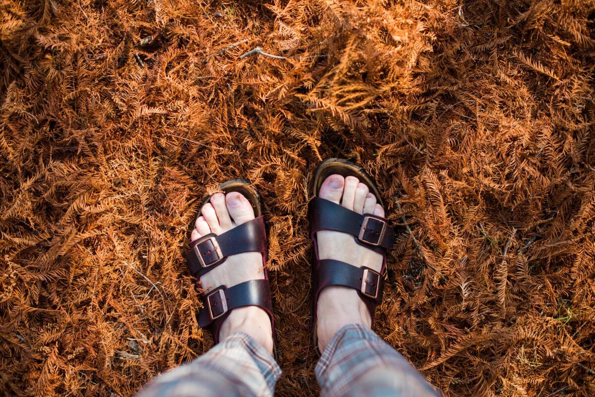 Birkenstock: debutto deludente in Borsa con -13% - German brand Birkenstock sandals shot against fall leaf's