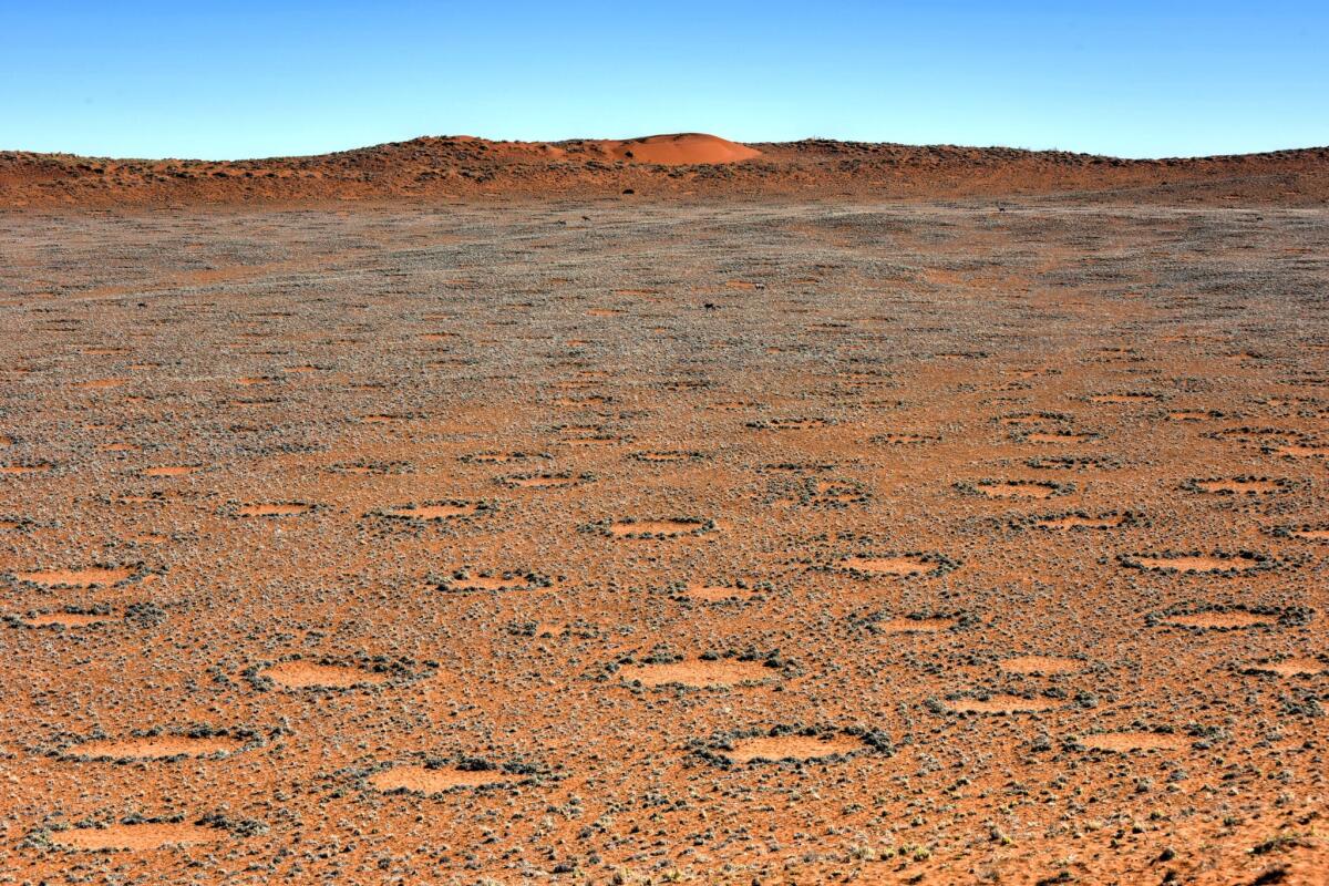Svelato il mistero sui cerchi di fate - Fairy circles, located in the Namib Desert, in the Namib-Naukluft National Park of Namibia.