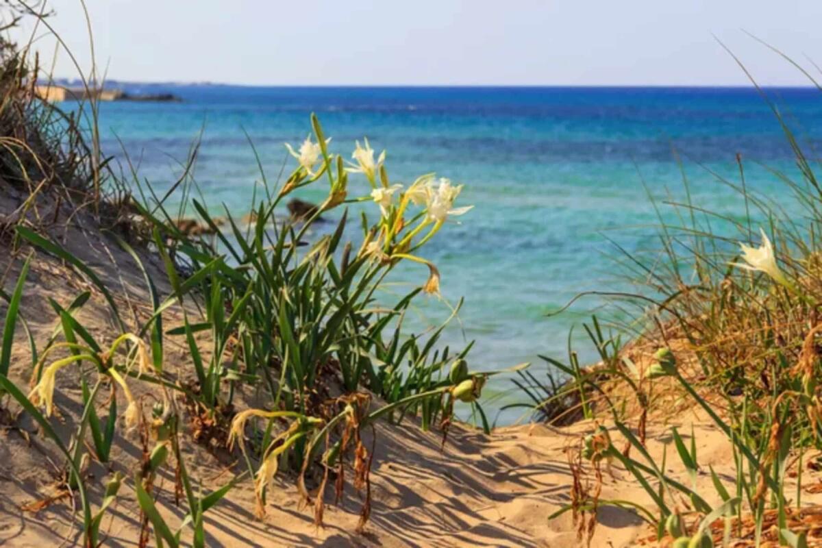 Biodiversità: quali sono le specie a rischio in Italia e quali misure vengono adottate per proteggerle? - 