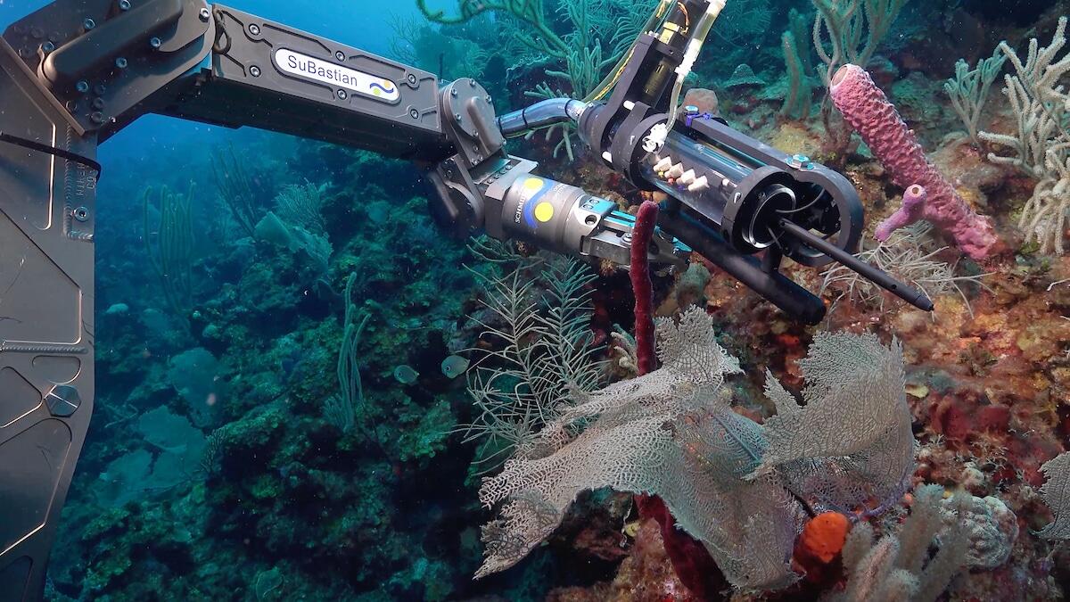 Tecnologie per studiare i coralli: il sensore SOLARIS - The developmental chemical sensor (SOLARIS) is a centerpiece of the expedition. SOLARIS is used in the ocean to make measurements of a fleetingly scarce compound called superoxide, a reactive oxygen species. SOLARIS utilizes the property chemilumines