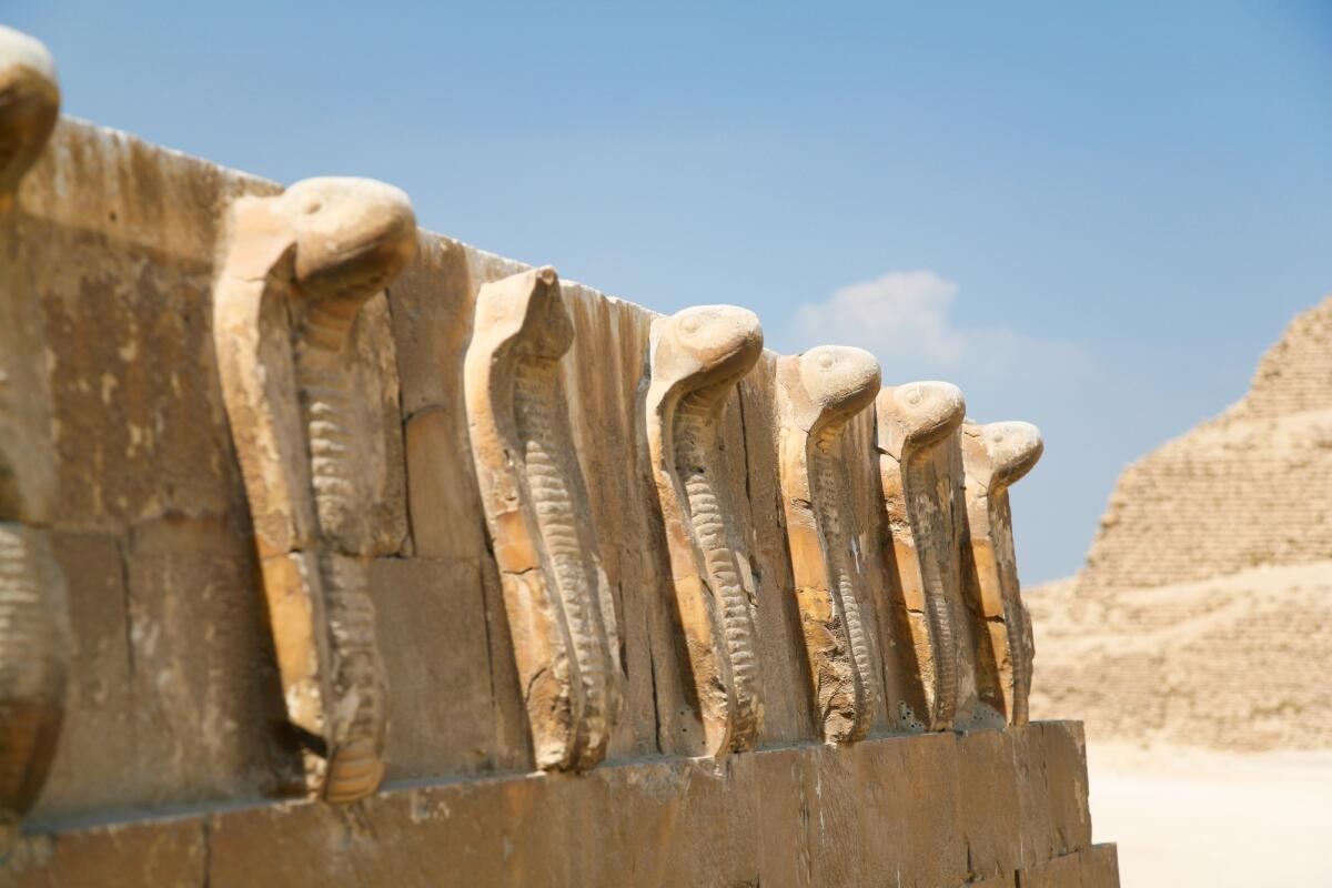 Identificate delle specie di serpenti velenosi che vivevano nell'antico Egitto - egyptian wall engraved with sculptures of cobra snakes next to Saqqara stepped Pyramid of Djoser, from year 2648 Before Christ, next to ancient Memphis city, in Egypt, Africa