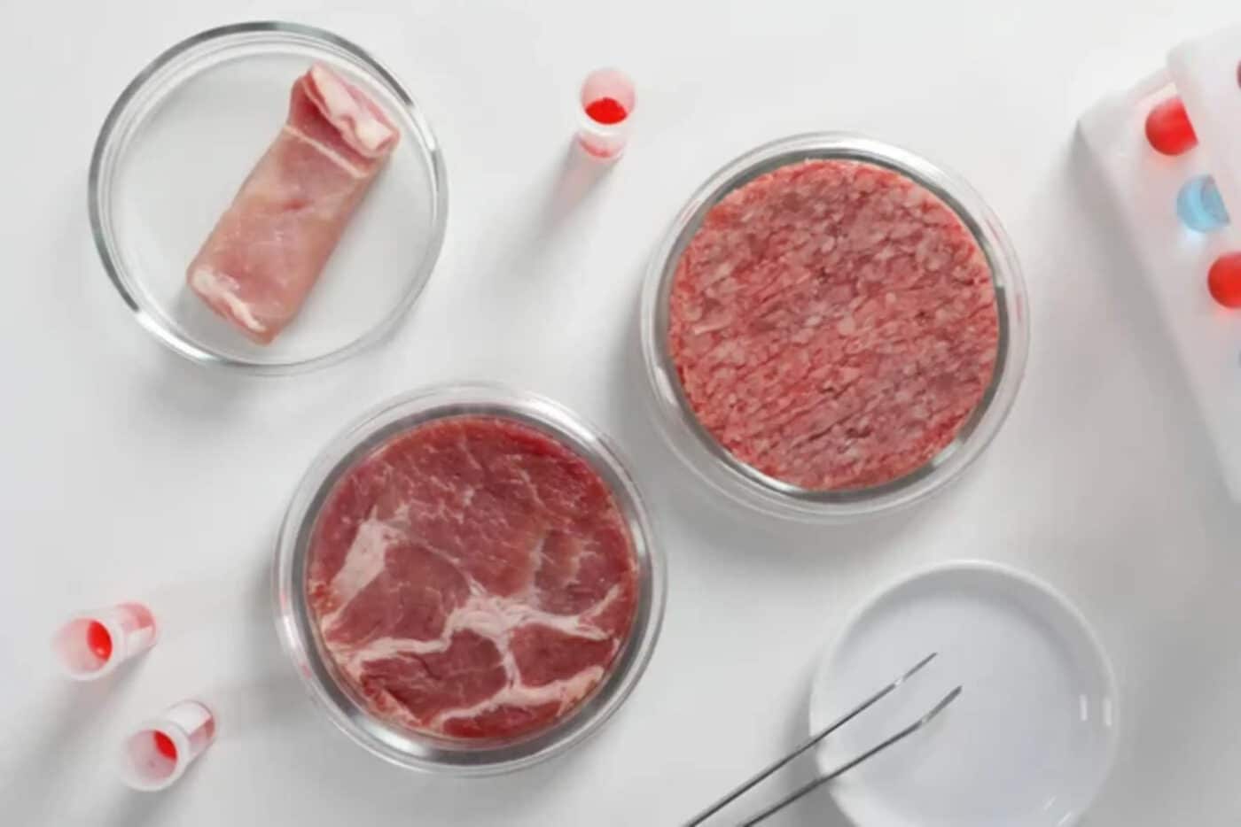 carne coltivata