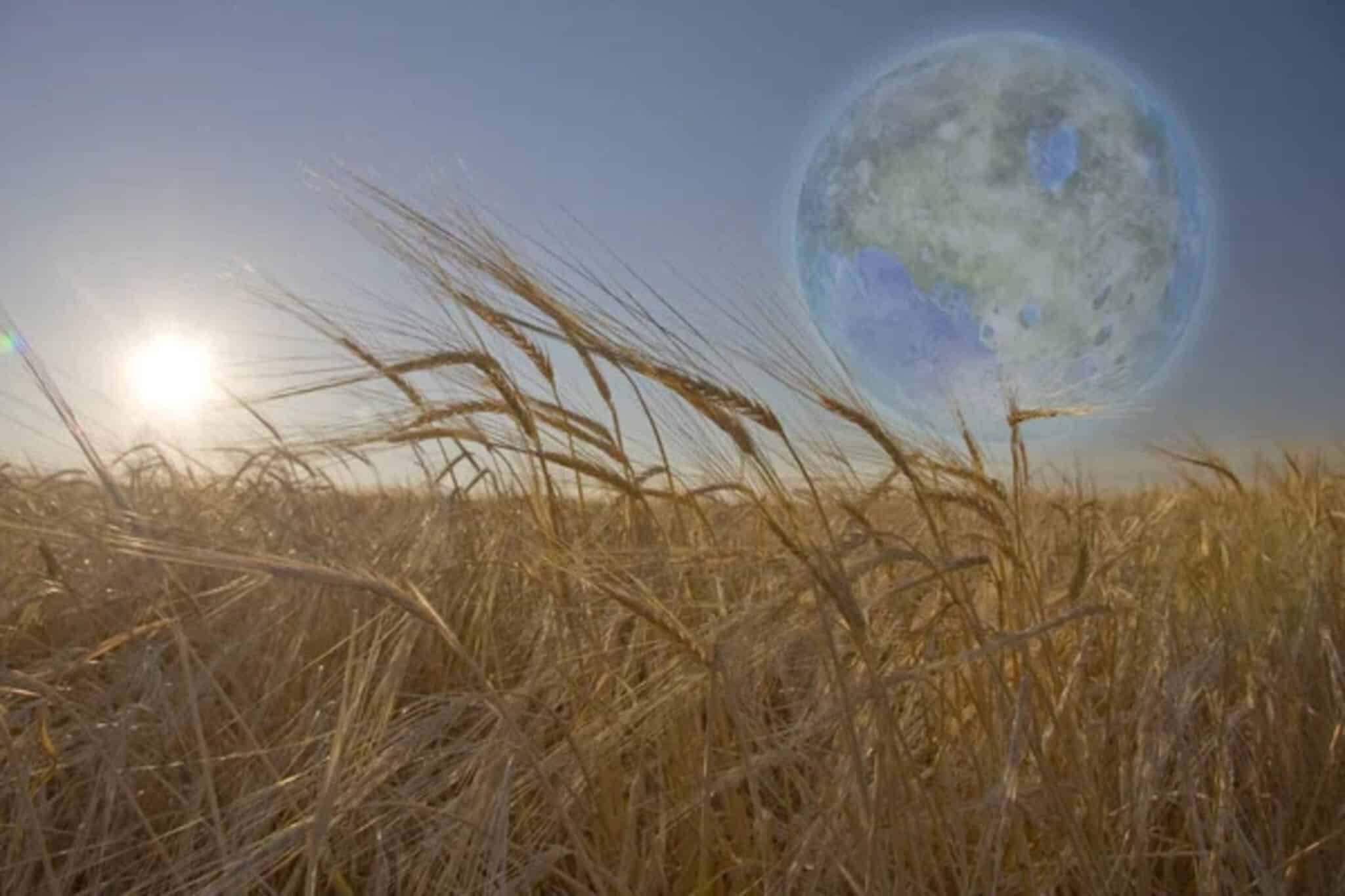 vita extraterrestre