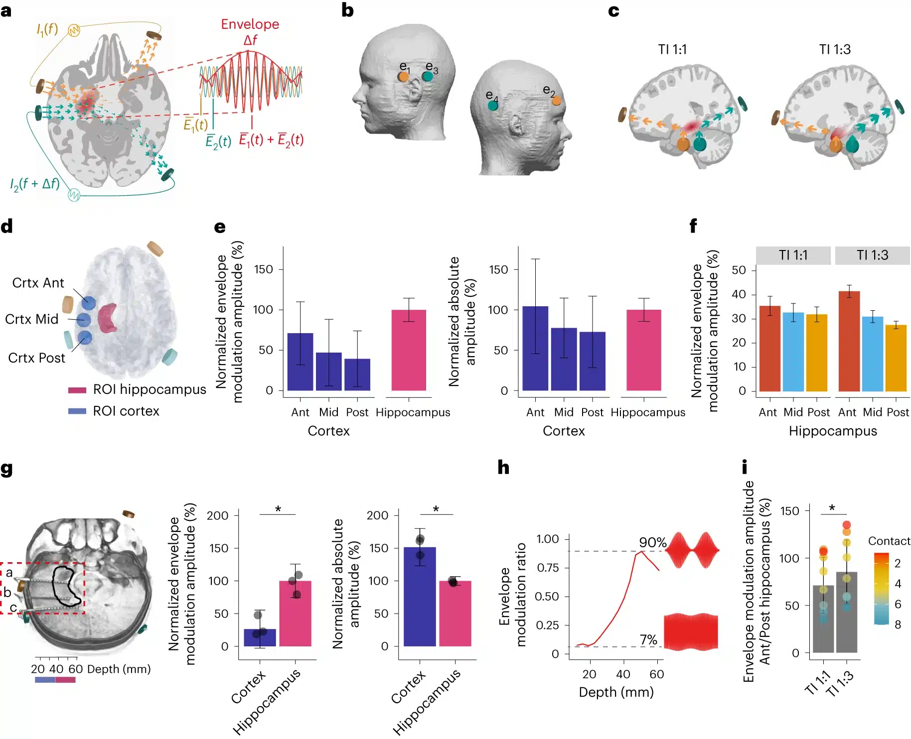 Fondamenti della stimolazione e della convalida dell'ippocampo TI utilizzando la modellazione computazionale e le misurazioni dei cadaveri - Credits: Nature Neuroscience