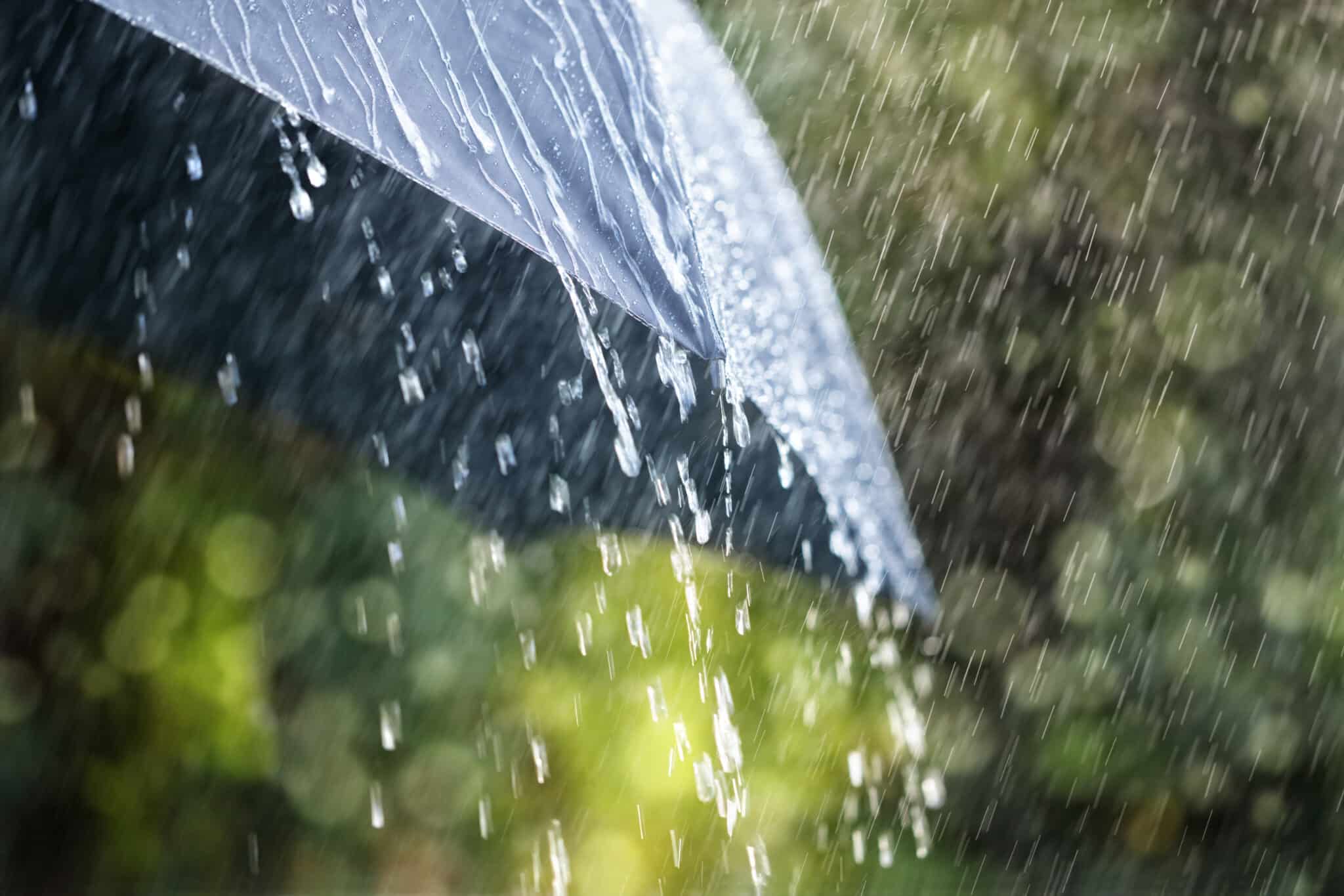 crisi climatica piogge estreme