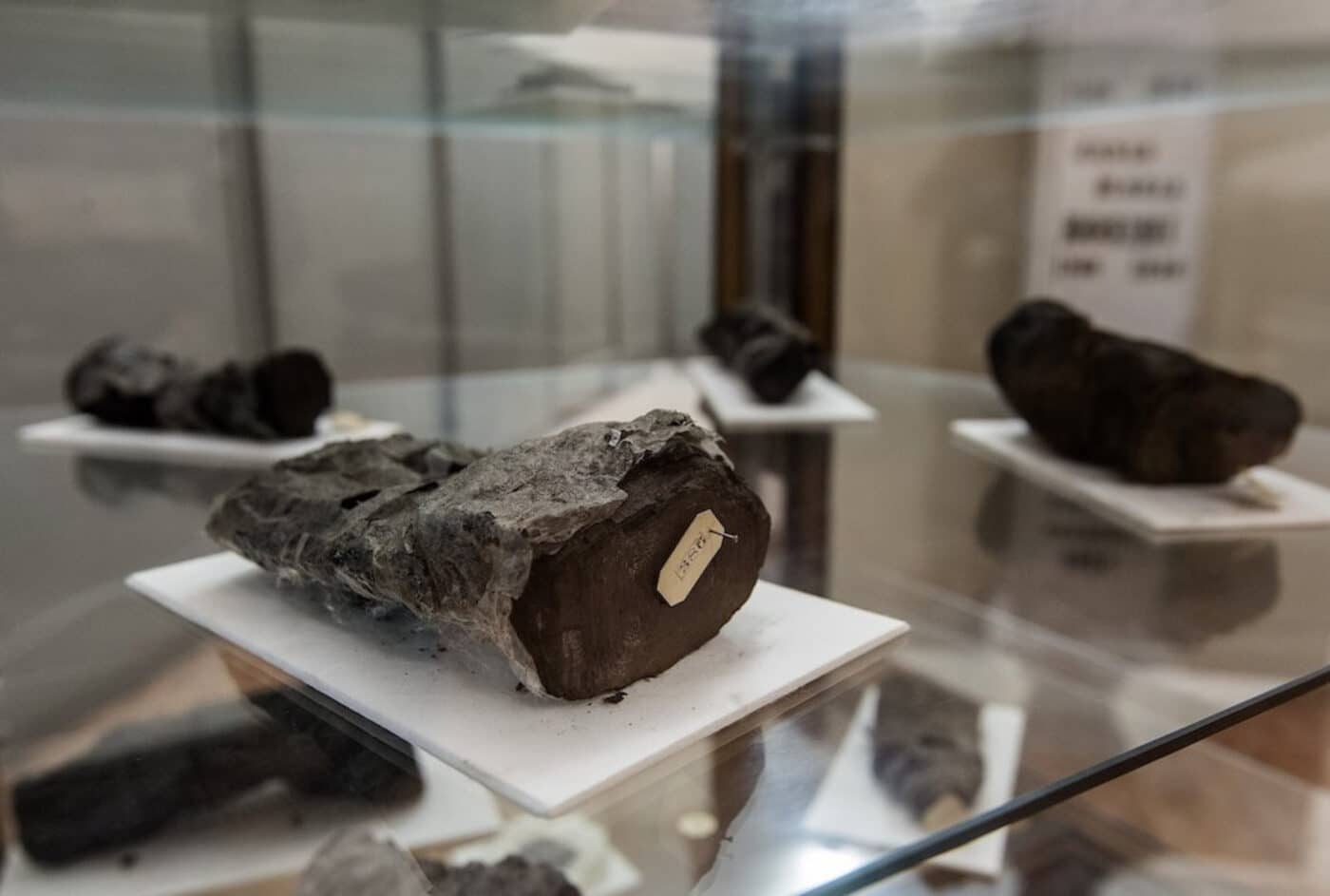 Rotoli di Ercolano esposti nella Biblioteca Nazionale di NapoliCredits: AP Photo/Salvatore Laporta
