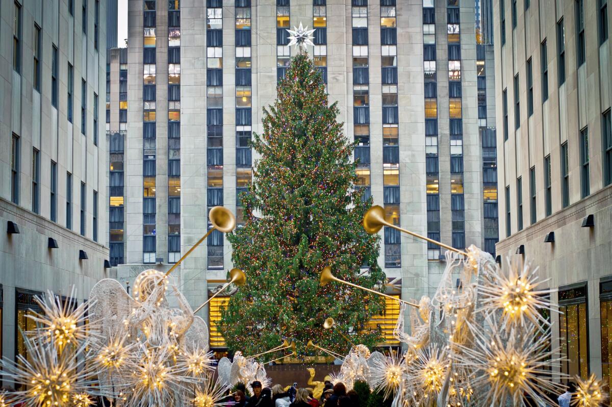 Come fare l'albero di Natale perfetto grazie alla Matematica - 