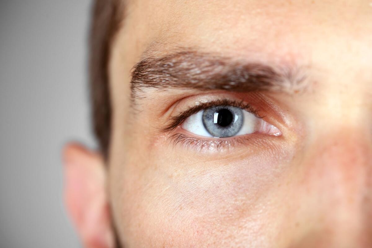 Rivoluzione nella medicina: effettuato il primo trapianto di un intero occhio umano a New York - Beautiful blue man eye close up
