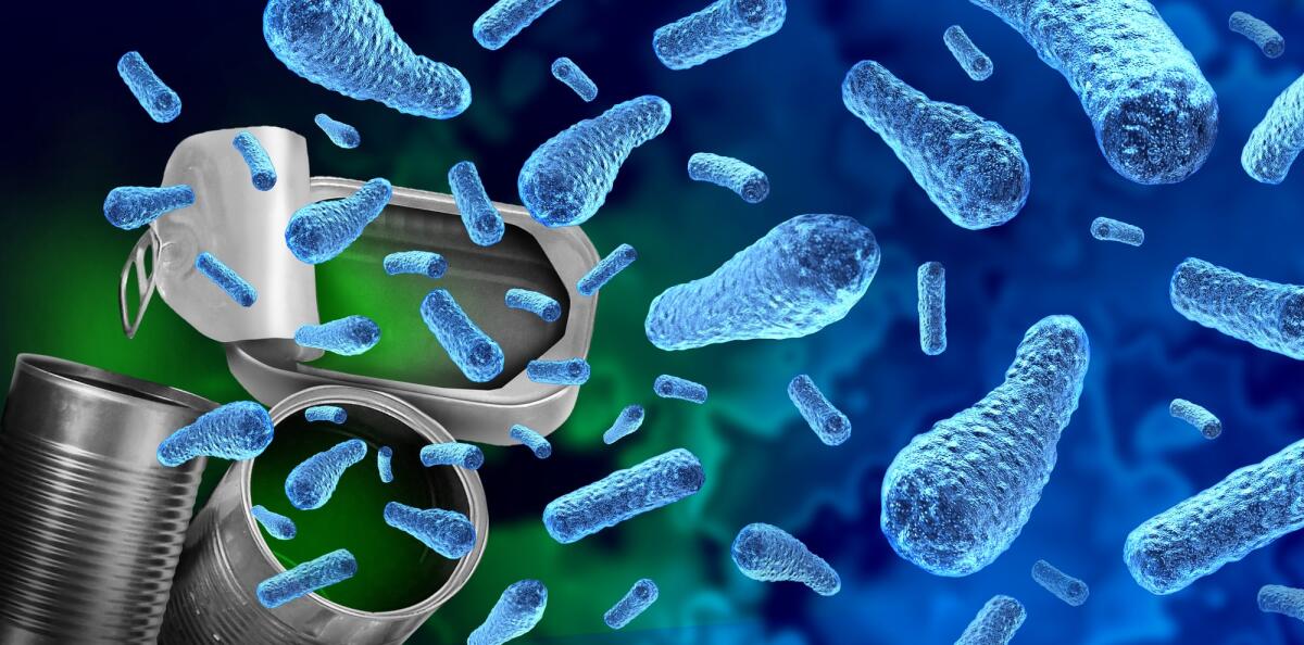 Botulino e Botulismo: cosa sono, pericolosità e alimenti a rischio - Botulism Bacteria food contamination as a severe illness caused by Clostridium botulinum bacteria producing paralytic toxins that lead to muscle weakness and paralysis as a 3D illustration.