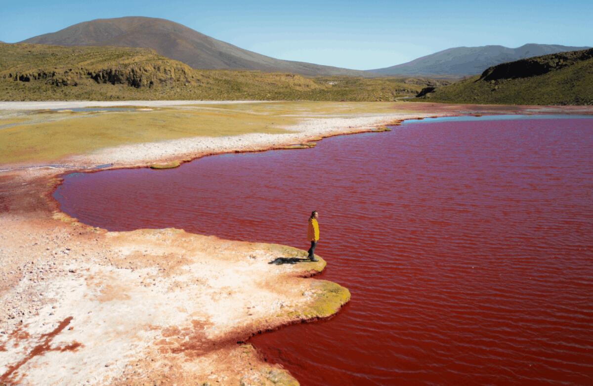 Il Nilo non si è tinto di rosso: il video virale mostra la "Laguna Roja" in Cile - 