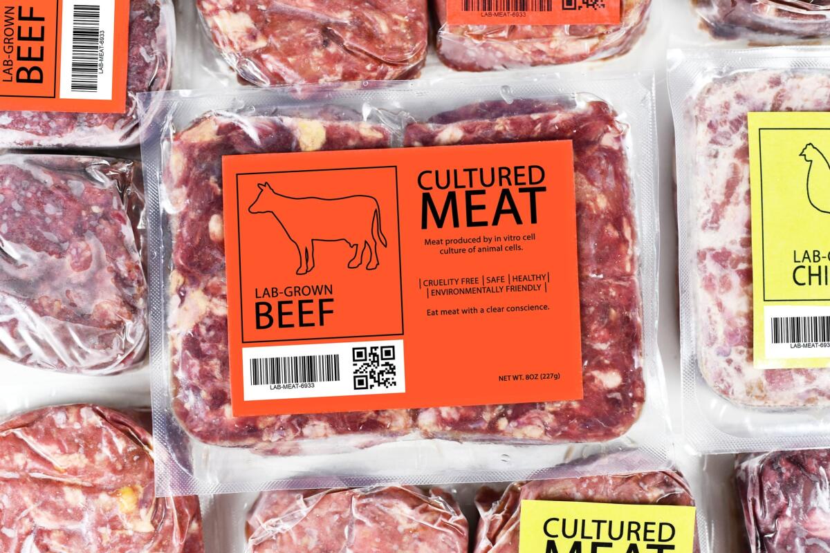 Approvato il disegno di legge che vieta la carne coltivata in Italia - 