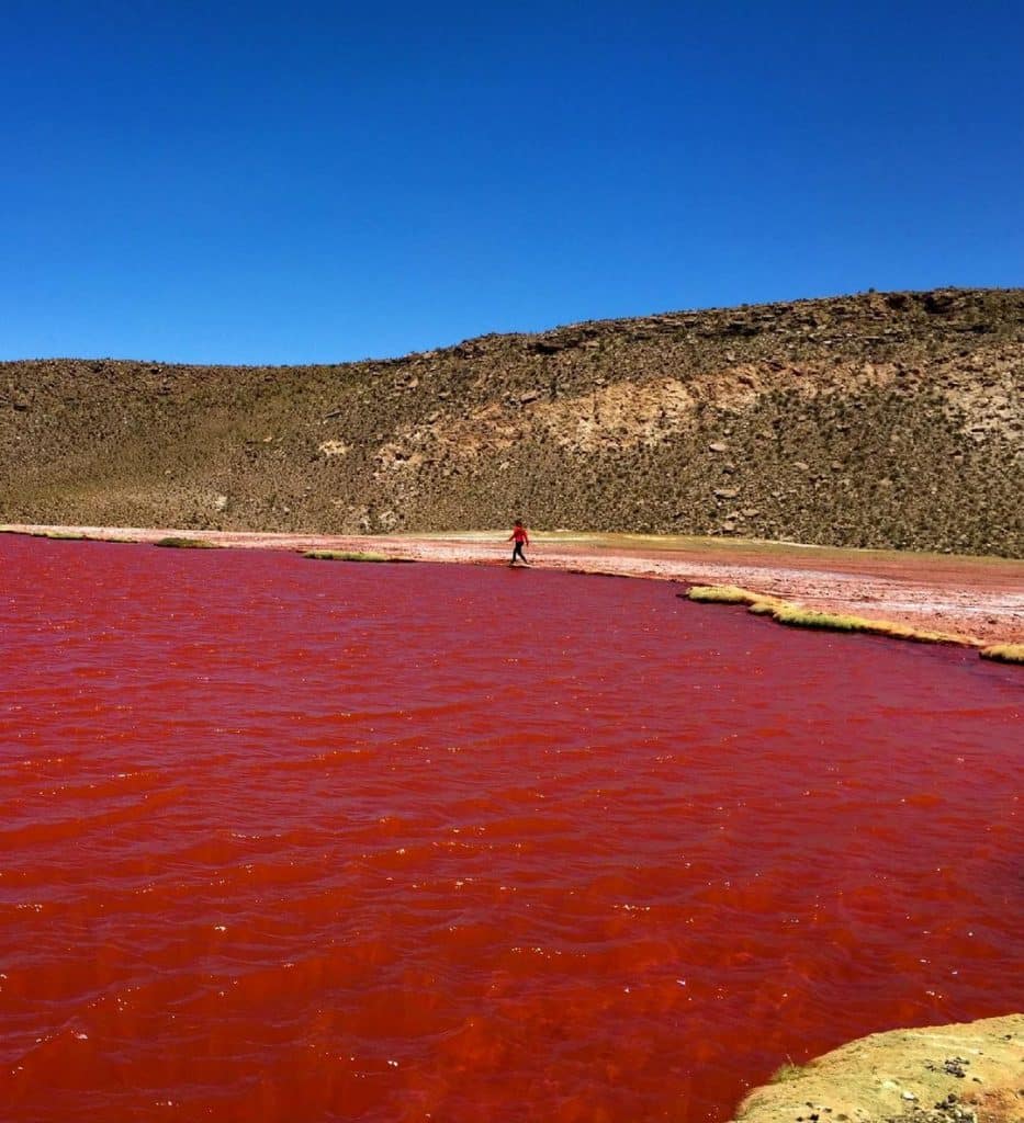 La Laguna Roja. Credits: @alisson_roco via Chile.travel