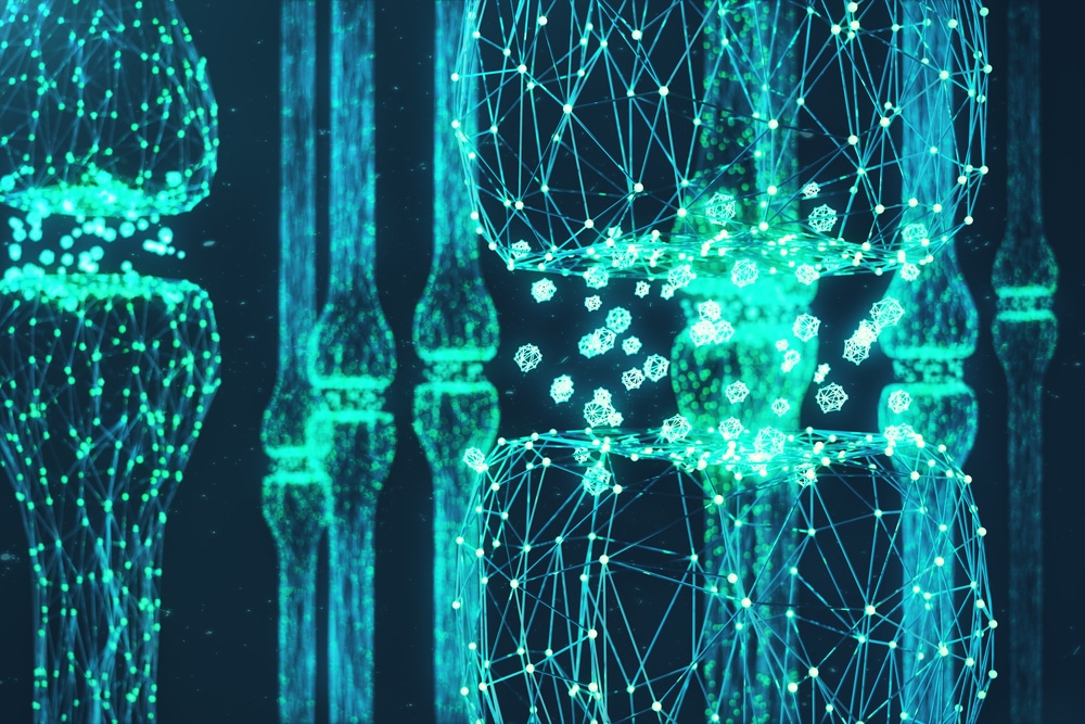 Cellule cerebrali che fanno sinapsi
