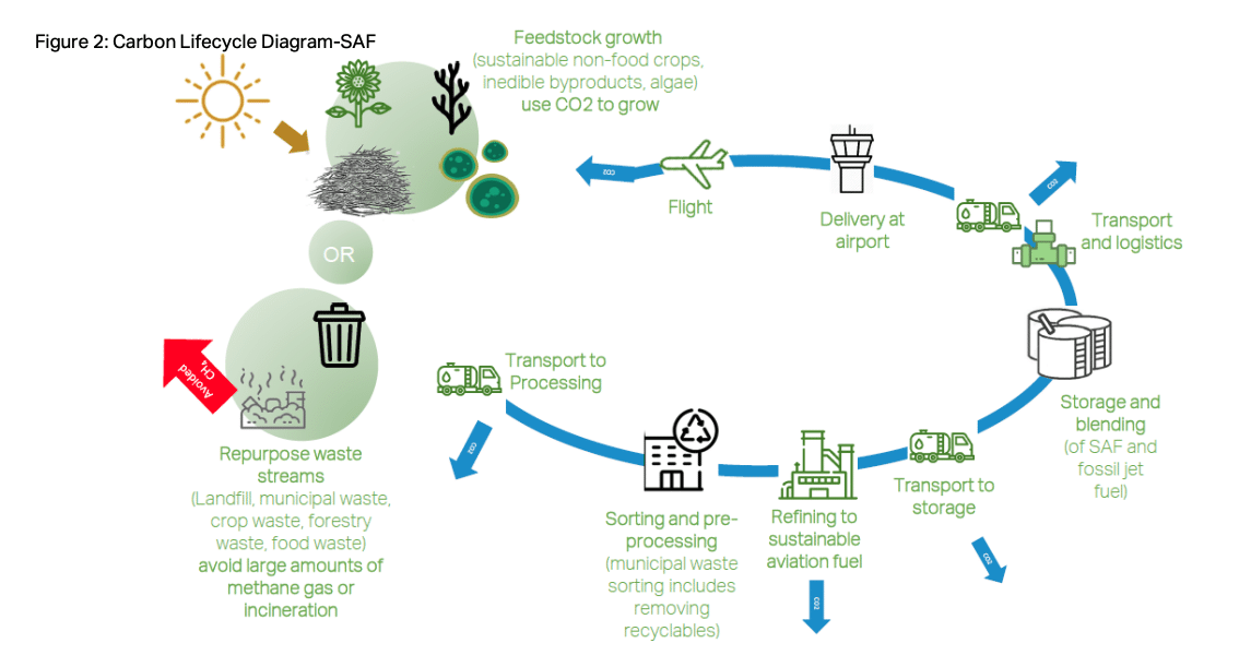 Ciclo di vita del carbone per i SAF. Credits: IATA