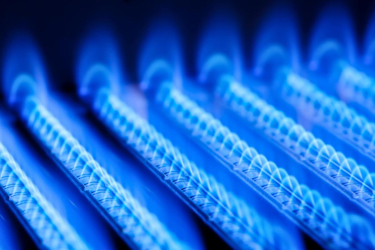 Stop alle caldaie a gas nell'UE entro il 2040 - Blue flames of a gas burner inside of a boiler