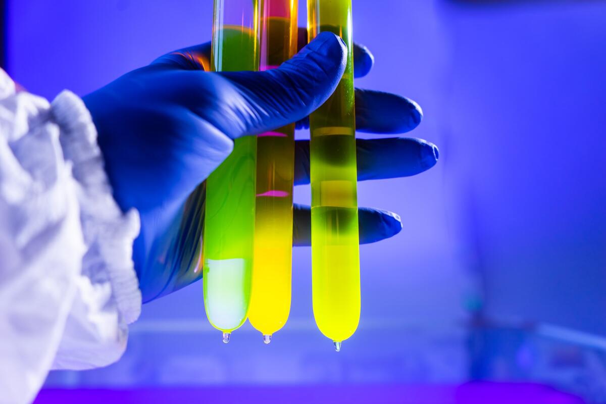 Fluoresceina: cos'è, origine e applicazioni - Fluorescein glowing in flask under ultraviolet light. A closeup of man hand holding up a vial  fluorescent liquid.