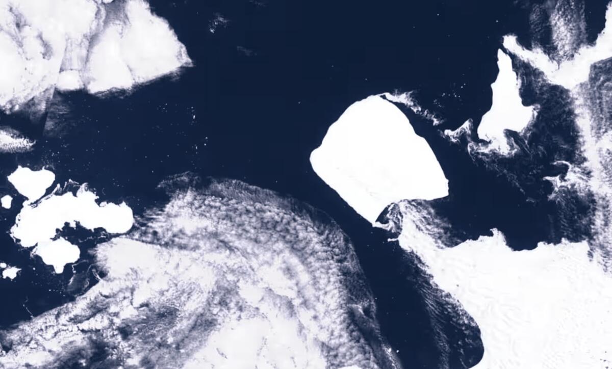 Il gigantesco iceberg A23a riprende a muoversi oltrepassando la punta settentrionale della Penisola Antartica - 