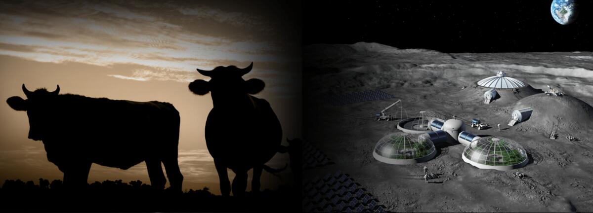 Sarà possibile coltivare la carne sulla Luna? - 