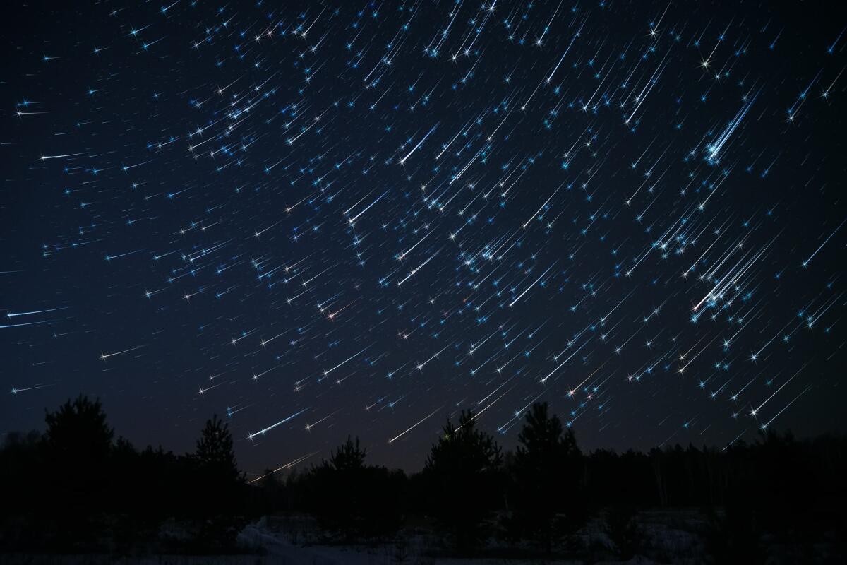 Da questa sera lo spettacolo delle Geminidi: le "stelle cadenti" di dicembre - Night landscape with stars and traces of the stars in the night sky on background of a dark forest