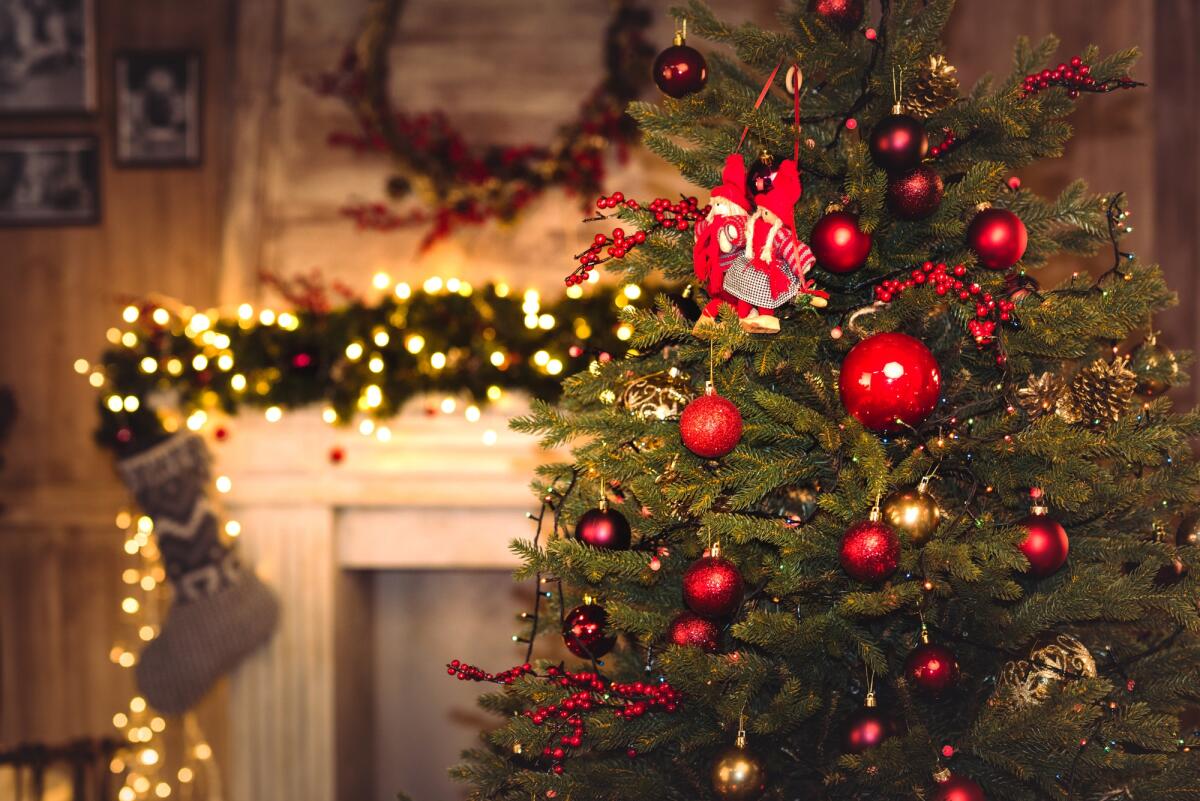 Cosa si festeggia l'8 dicembre? - 