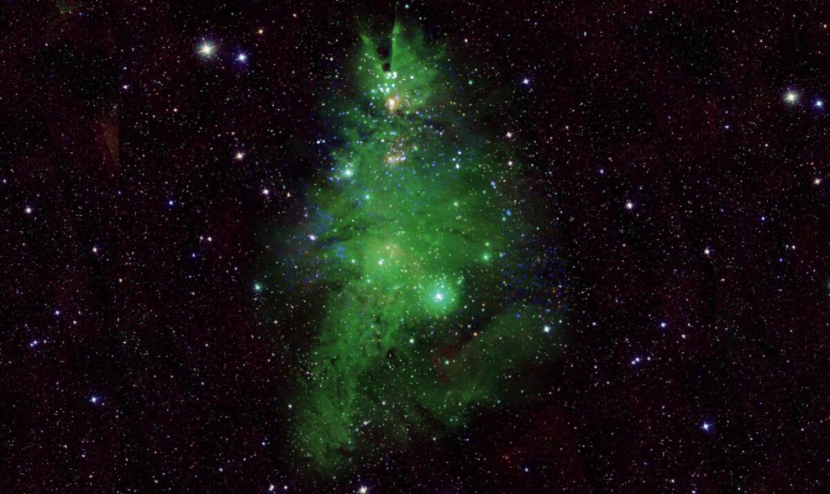 Un albero di Natale (con le luci!) nello spazio ottenuto da un ammasso di stelle - 