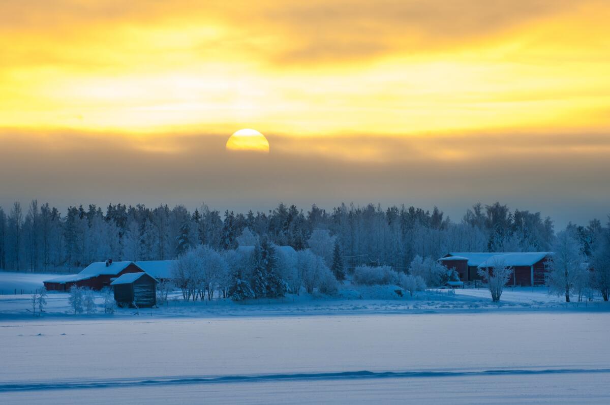 Ecco quando sarà il solstizio d'inverno 2023 e perché cambia ogni anno - Polar winter dusk landscape in Lapland